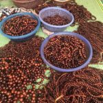 sỉ các loại hạt gỗ giá rẻ sâu tràng hạt