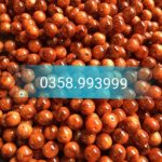 vòng tay gỗ huyết long thấu quang giá siêu rẻ