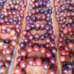 vòng tay gỗ trắc giá rẻ 7k