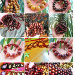 vòng tay gỗ trắc cẩm mun giá rẻ