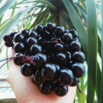 VÒNG TAY GỖ xưởng sản xuất vòng tay gỗ các loại