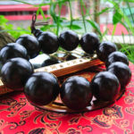 mun sừng giá rẻ