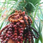 xưởng sản xuất vòng tay tràng hạt giá rẻ toàn quốc