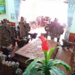 bộ rồng đỉnh bát quái gỗ trắc 12 món