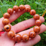 huyết long nu giá rẻ toàn quốc