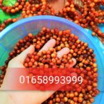 xưởng sản xuất sỉ vòng tay gỗ giá rẻ