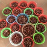 xưởng sản  xuất vòng tay gỗ tại miền bắc giá rẻ