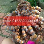 vòng tay gỗ hoàng đàn tuyết lạng sơn chỉ 250k