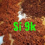 sỉ vòng tay gỗ huyết long tại hà nội