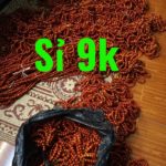 vòng tay gỗ huyết long 9k giá rẻ toàn quốc